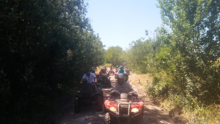 Despedida del 2017 en cuatri